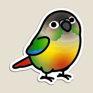 Meet your Posher, Sandy